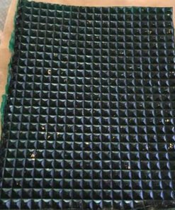 lsd gel tabs